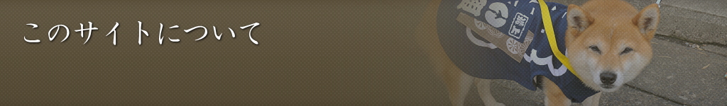 このサイトについて